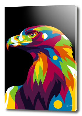 Colorful Falcon Head