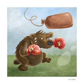 Bear the boxer