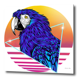 Retro Macaw