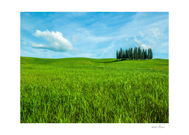 RDP-99003 VAL D'ORCIA # 2