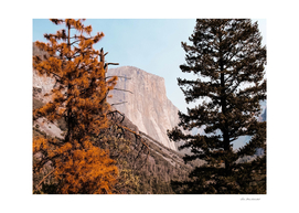 At Yosemite national park USA with autumn tree