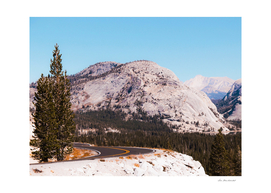 road at Yosemite national park USA