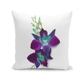 Digital Painting of a Blue Bom Dendrobium Orchid Flower