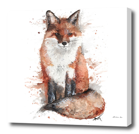 Fox - Wildlife Collection