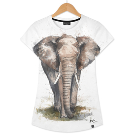 Elephant - Wildlife Collection