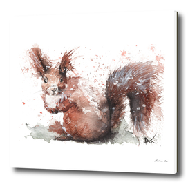 Squirrel - Wildlife Collection