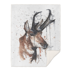 Red Deer - Wildlife Collection