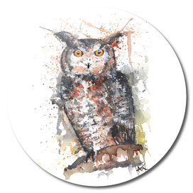 Owl - Wildlife Collection