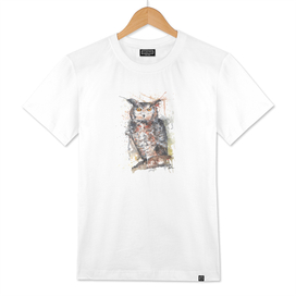 Owl - Wildlife Collection