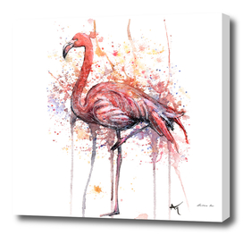 Flamingo - Wildlife Collection