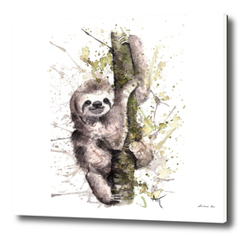 Sloth - Wildlife Collection