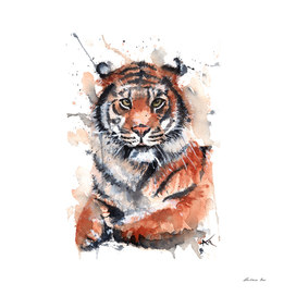 Tiger - Wildlife Collection