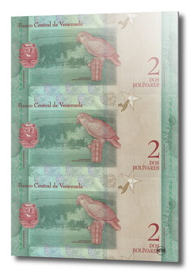 2 bolivares venezuelan banknotes collage