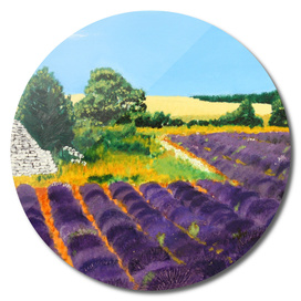 Afternoon Lavender Field