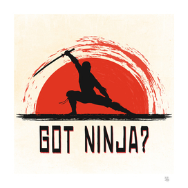 Got Ninja?