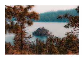 Pine tree and island at Emerald Bay Lake Tahoe California