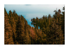 pine tree and lake at Emerald Bay Lake Tahoe California