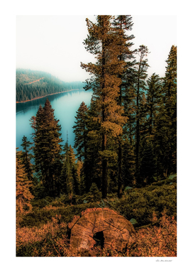 Pine tree with lake scenic at Emerald Bay Lake Tahoe
