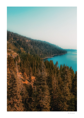 pine tree and lake at Emerald Bay Lake Tahoe California USA