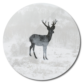 Reindeer silhouette on a winter snowy forest
