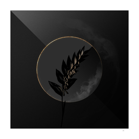 Shadowy Angular Solomon's Seal Botanical on Black