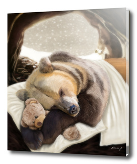 Sweet dreams, Mr Bear