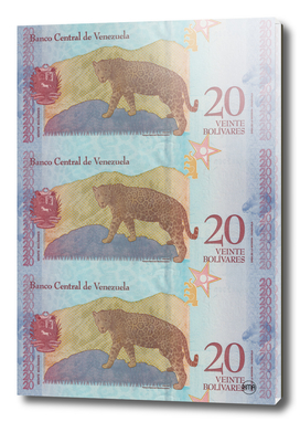 20 bolivares venezuelan banknotes collage