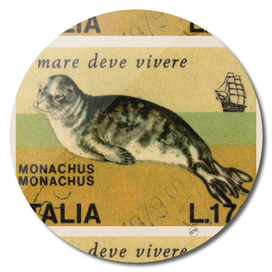 Mediterranean monk seal italian stamps collage