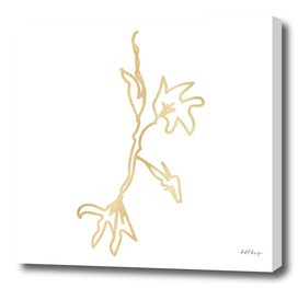 line art flower gold folio