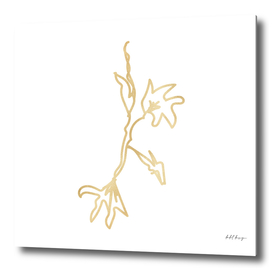 line art flower gold folio