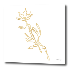 gold flower minimal hand drawn