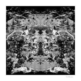 BLACK AND WHITE ABSTRACTION-1