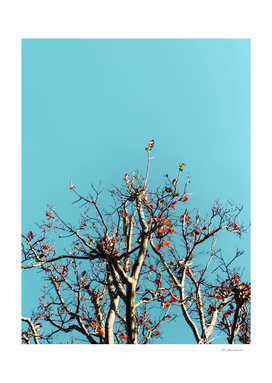 Tree branch and orange autumn leaves with blue sky