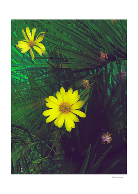 Blooming yellow flowers with green palm leaves background