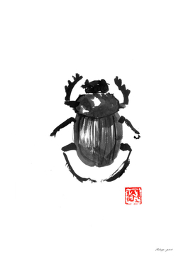 scarabee 02