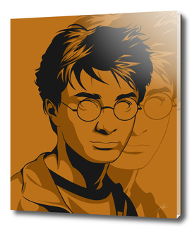 Incredible Harry Potter