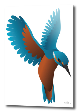 kingfisher bird 02