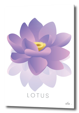 lotus flower 01