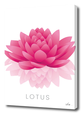 lotus flower 02