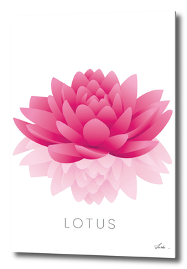 lotus flower 02