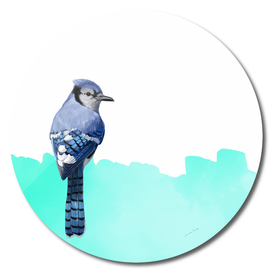 Modern Bird Blue