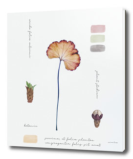 Botanic Notes