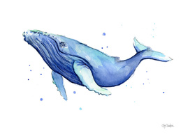 Humpback Whale Watercolor