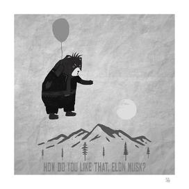 Bad Bear In The Air