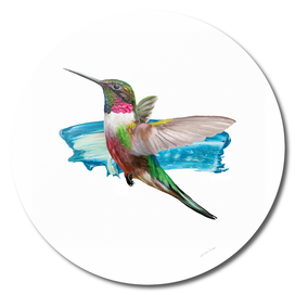 Modern Hummingbird II