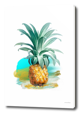 Modern Pineapple