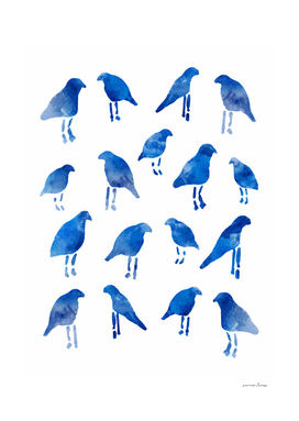 The Blue Birds