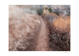 walkway on the mountain with dry grass field