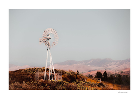 windmill and cactus garden with mountain view and blue sky