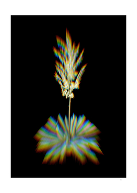 Prism Shift Adam's Needle Botanical Illustration